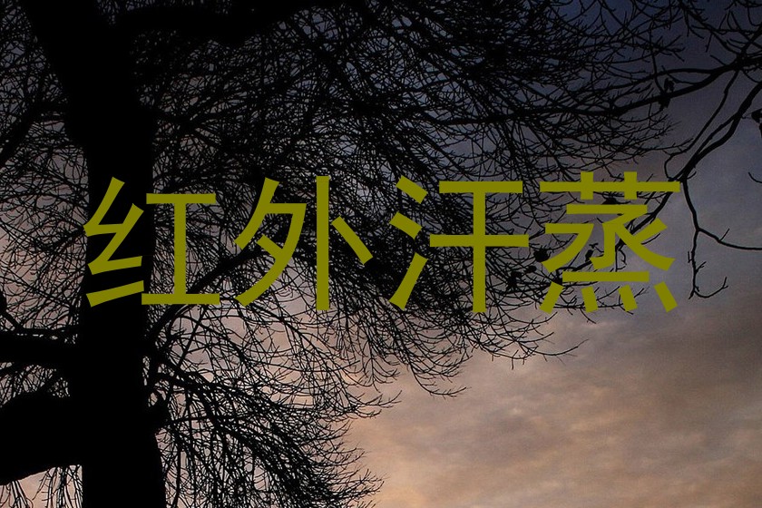 红外汗蒸