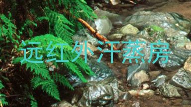 远红外汗蒸房
