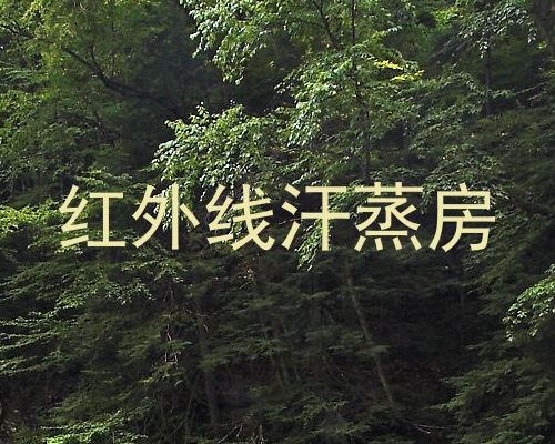 红外线汗蒸房