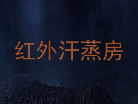 红外汗蒸房