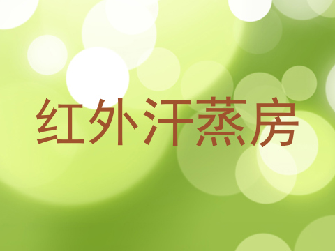 红外汗蒸房