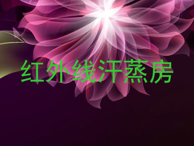 红外线汗蒸房