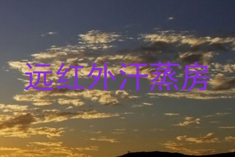 远红外汗蒸房