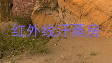 红外线汗蒸房