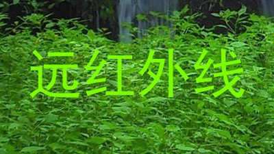 远红外线