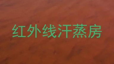红外线汗蒸房