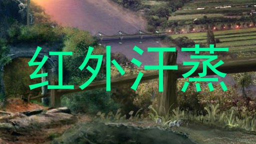 红外汗蒸