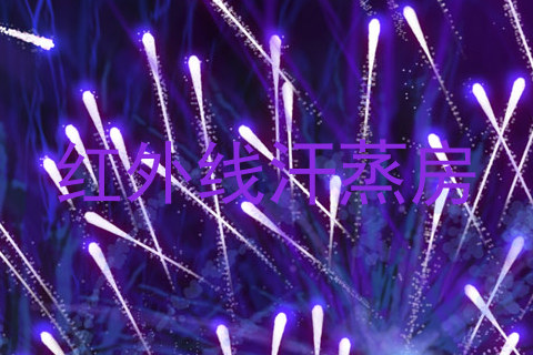 红外线汗蒸房