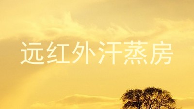 远红外汗蒸房