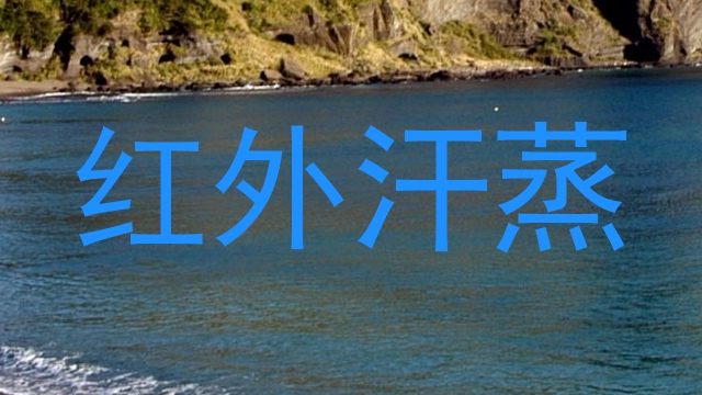 红外汗蒸