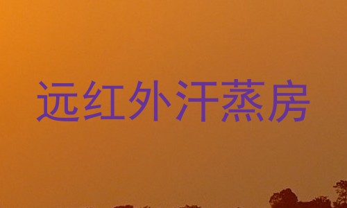 远红外汗蒸房