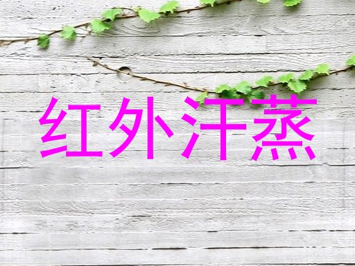 红外汗蒸