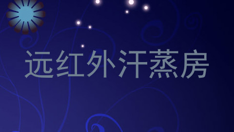 远红外汗蒸房