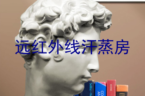 远红外线汗蒸房