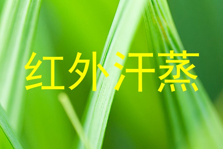 红外汗蒸