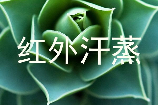红外汗蒸
