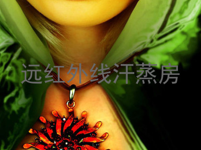 远红外线汗蒸房