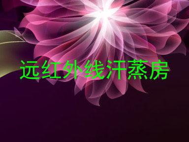 远红外线汗蒸房