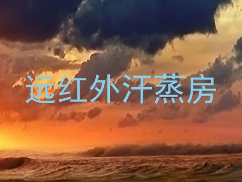 远红外汗蒸房