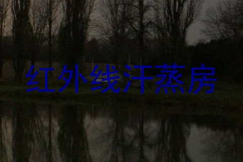 红外线汗蒸房