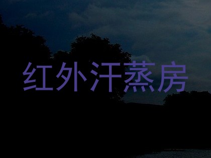 红外汗蒸房