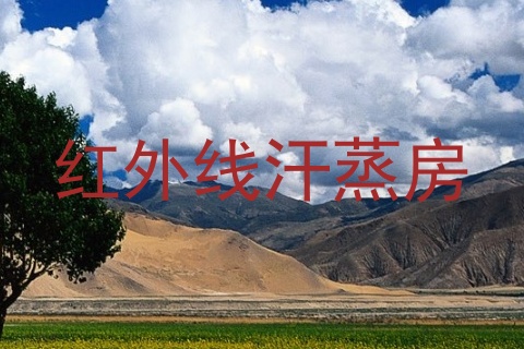 红外线汗蒸房