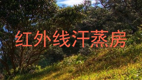 红外线汗蒸房