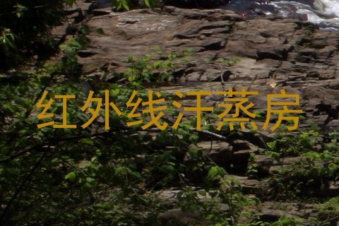 红外线汗蒸房