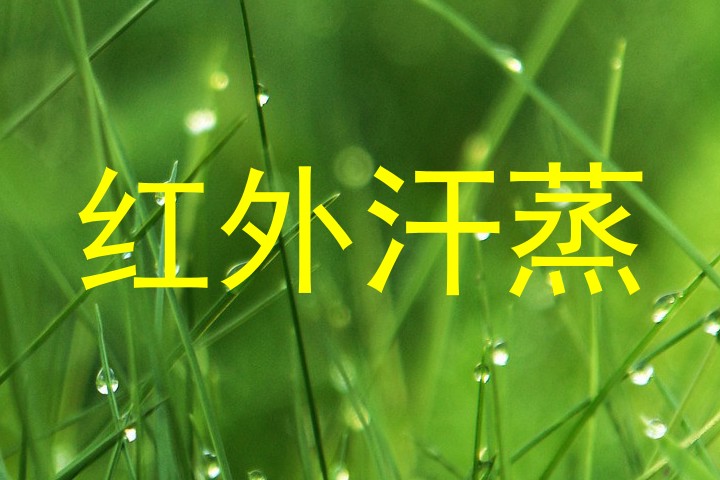 红外汗蒸