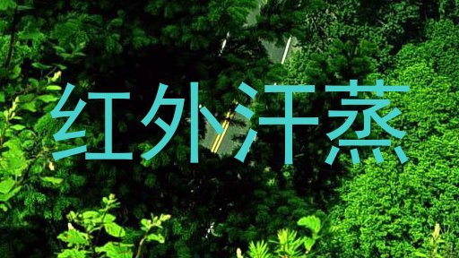红外汗蒸