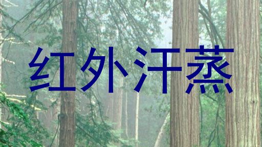 红外汗蒸