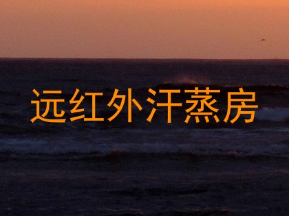远红外汗蒸房