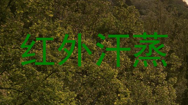 红外汗蒸