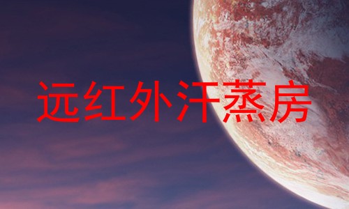 远红外汗蒸房