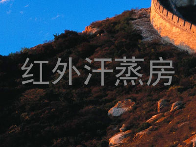 红外汗蒸房