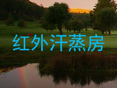 红外汗蒸房