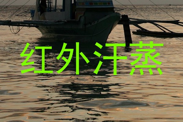 红外汗蒸
