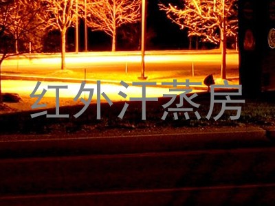 红外汗蒸房