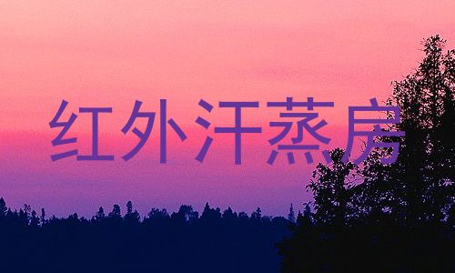 红外汗蒸房