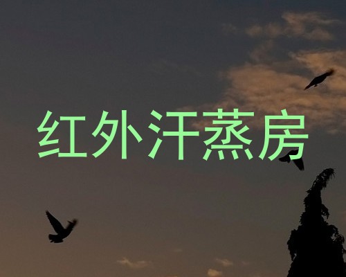 红外汗蒸房