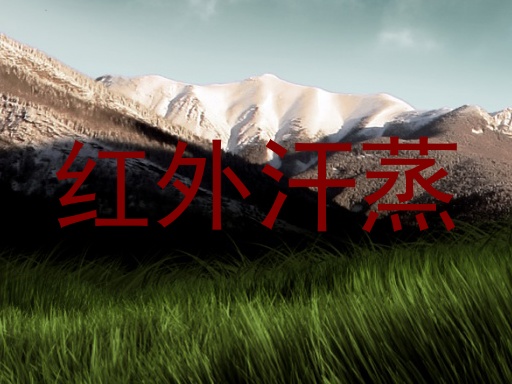 红外汗蒸