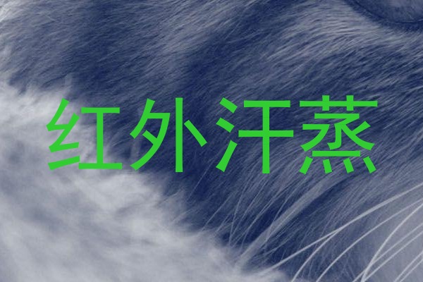 红外汗蒸