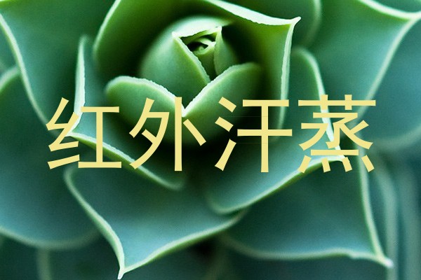 红外汗蒸