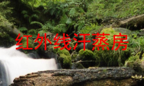 红外线汗蒸房