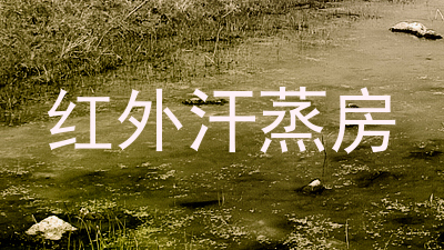 红外汗蒸房