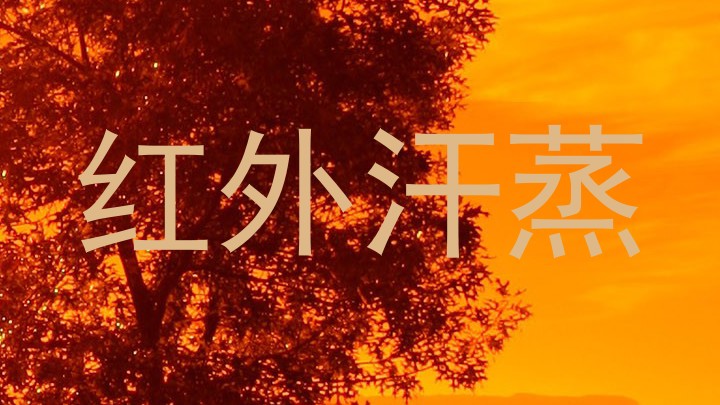 红外汗蒸