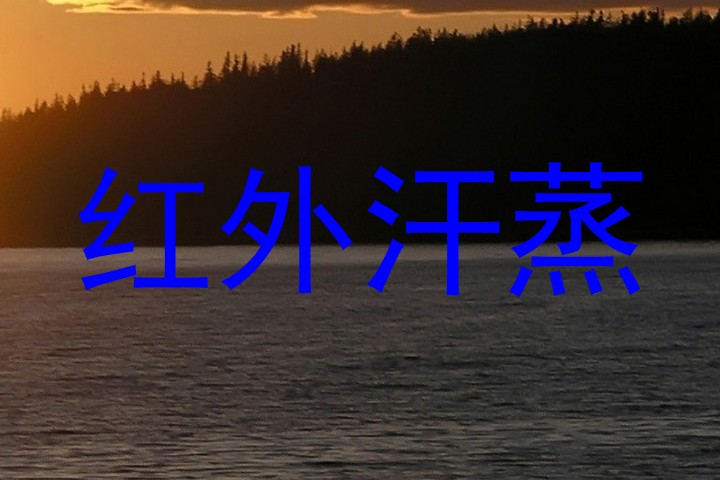 红外汗蒸