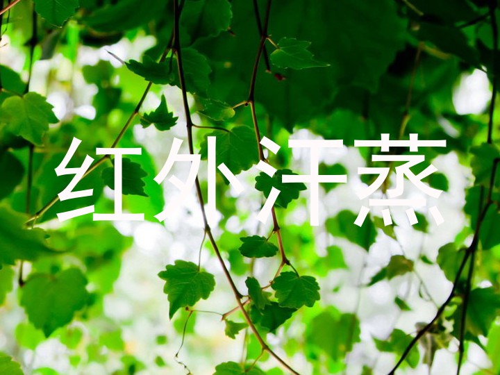 红外汗蒸