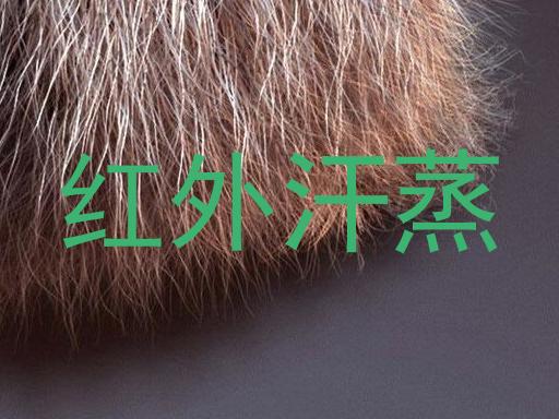 红外汗蒸