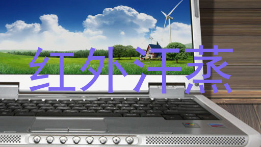 红外汗蒸